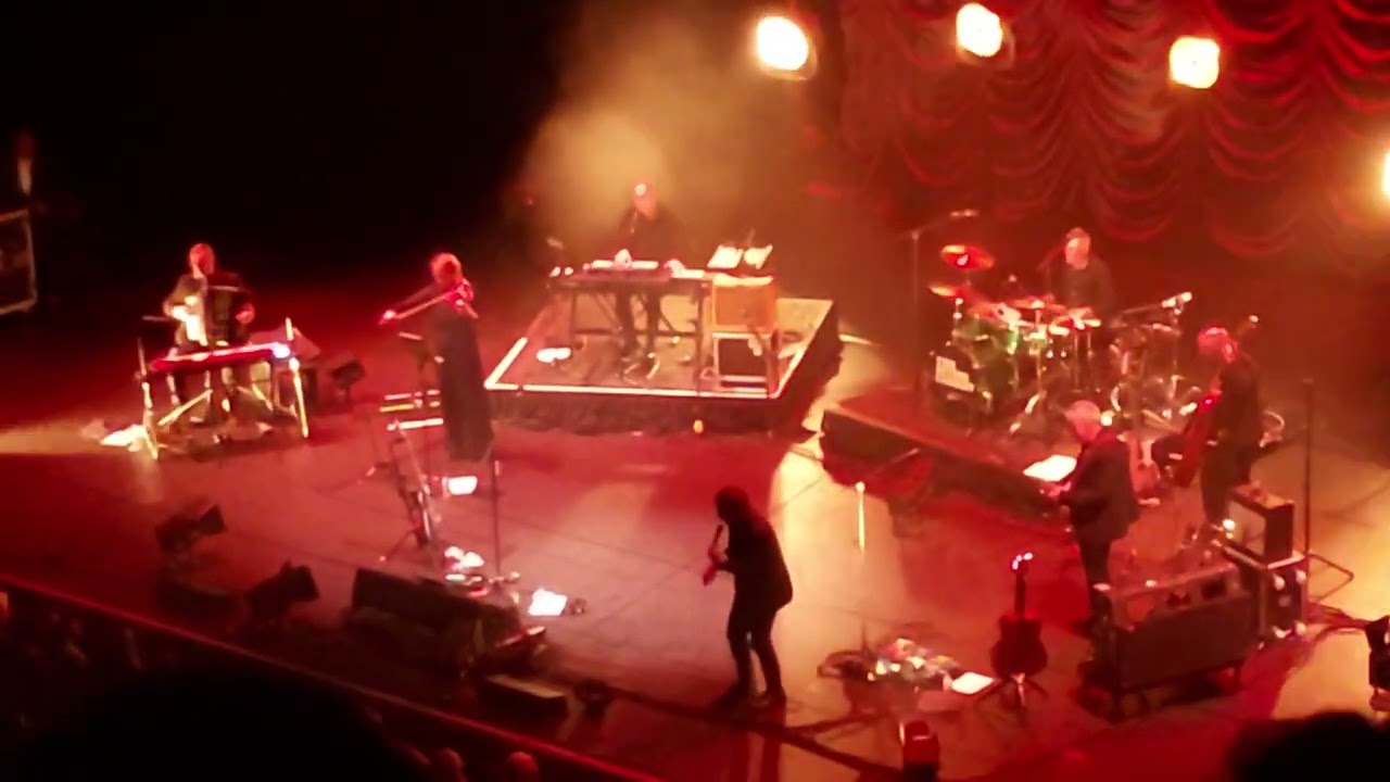 The Divine Comedy - Our Mutual Friend - 11/10/25 Barbican Centre live 2025