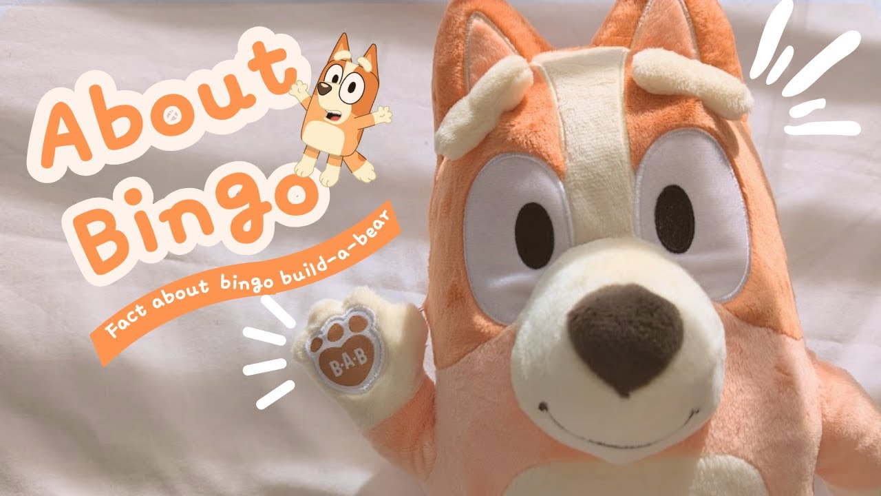 Fact's about Bingo |Build-A-Bear|