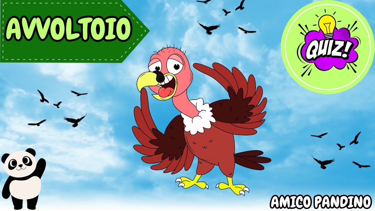 Animali per bambini video - L'AVVOLTOIO - Impara gli animali con Pandino - quiz animali - UCCELLI