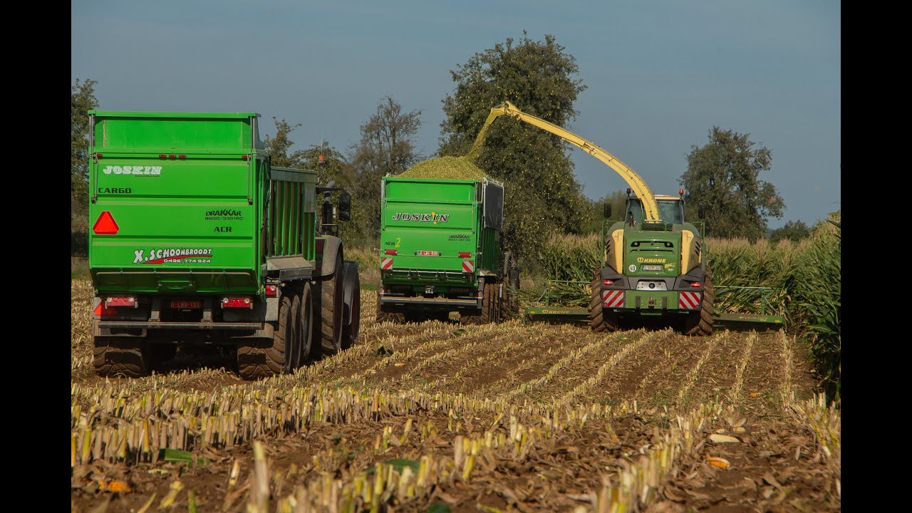 Ma&iuml;s 2023 🌽  - Schoonbroodt &agrave; l'ensilage - JOSKIN Silo-Space 2, Drakkar and KRONE BIG X - XS Agri