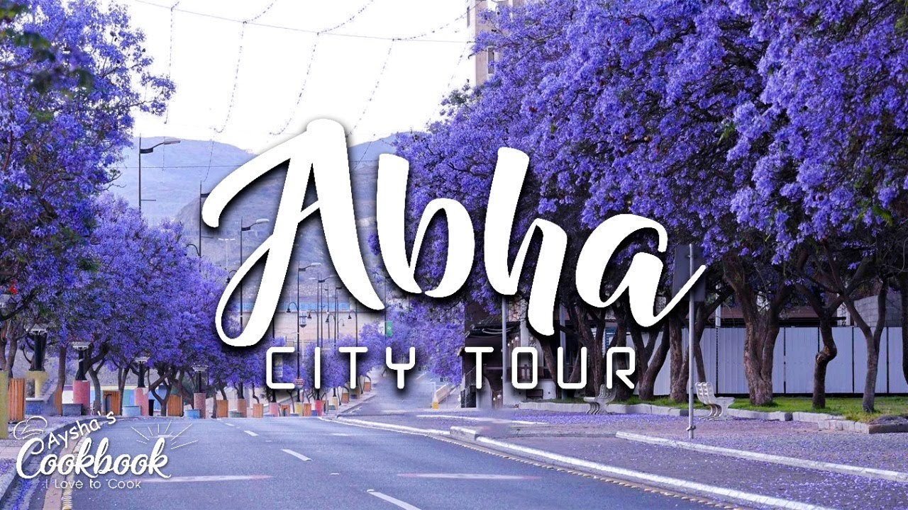 Riyadh Abha Trip ||  Saudi Arabia's most Beautiful Place To Visit || First Impression Of ABHA ||