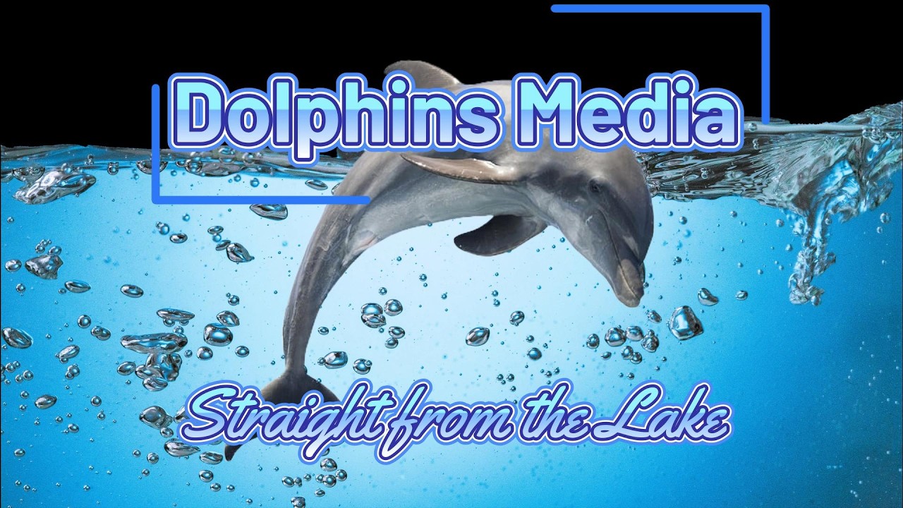 Dolphin News - March 13, 2026