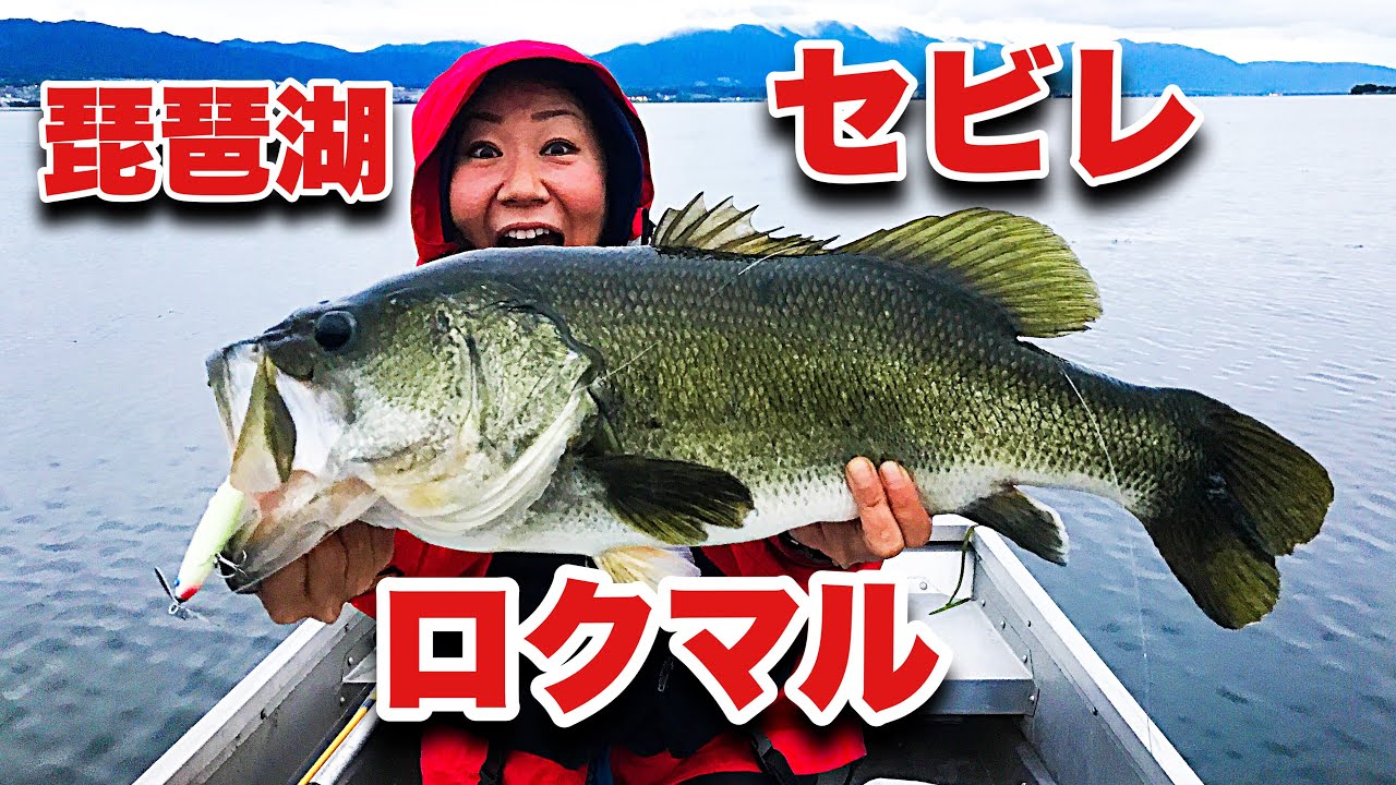 【琵琶湖】【セビレ】ロクマル出た！ラインスラック