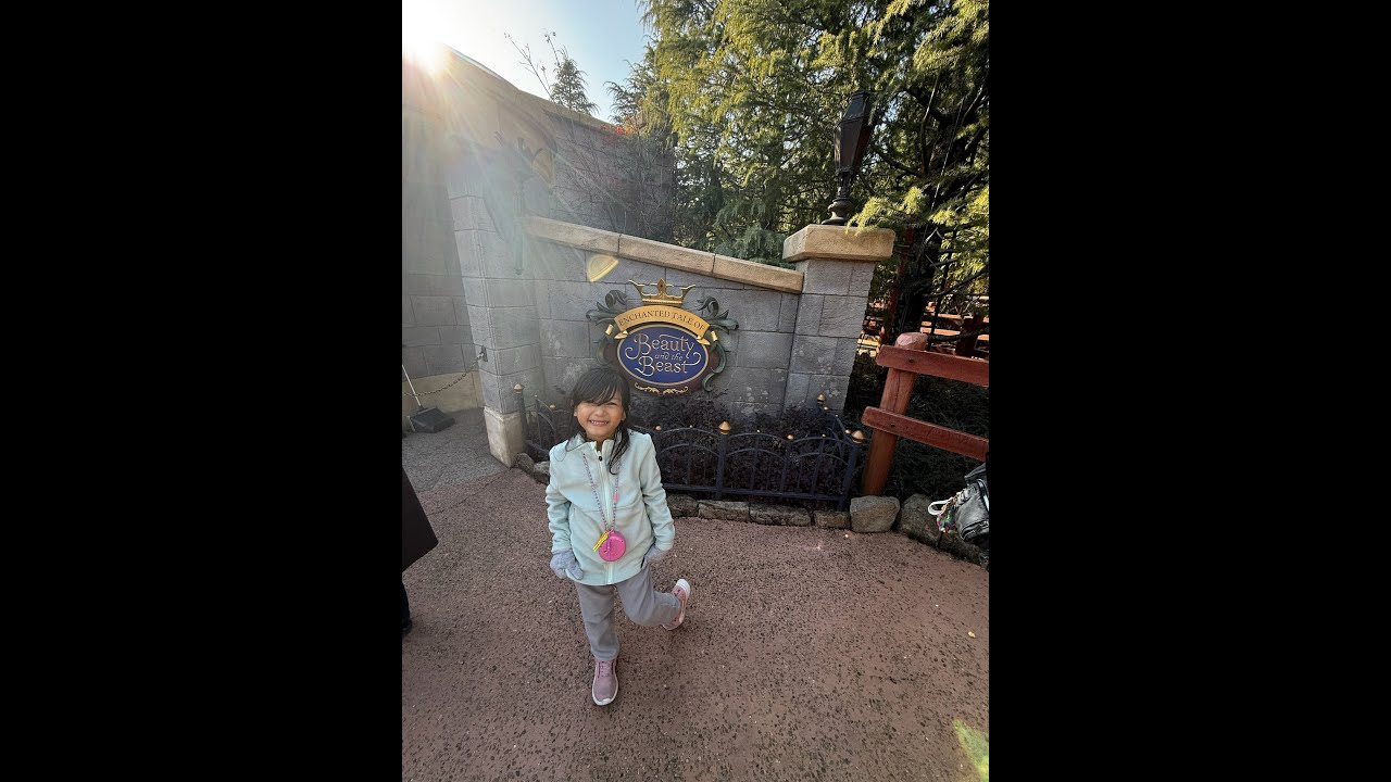 Tokyo Disneyland Day Trip