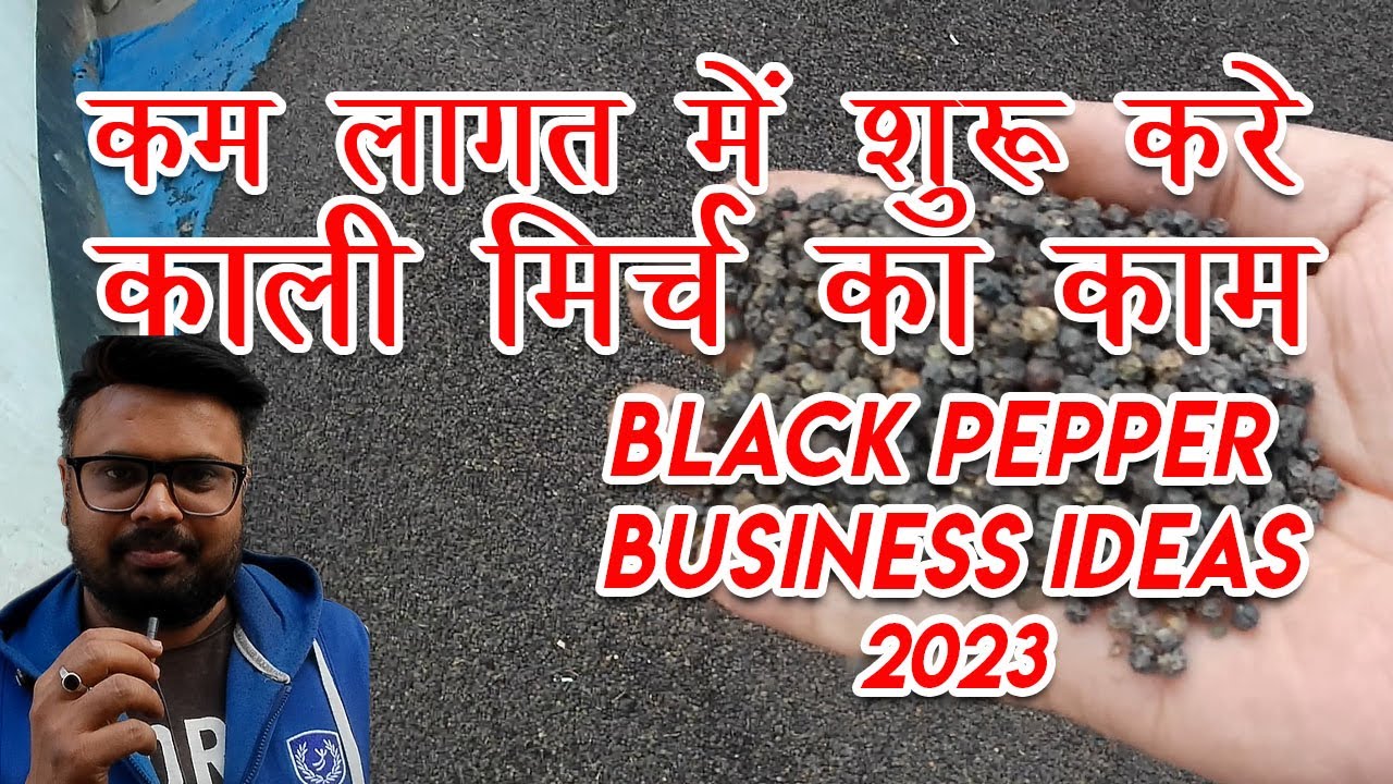 black pepper business ideas | शुरू करें काली मिर्च का व्यवसाय