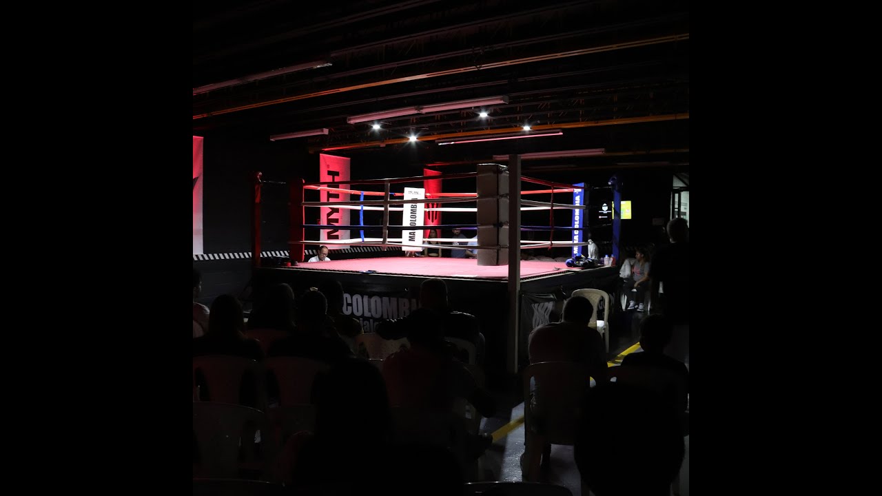 Combates de boxeo en MMA COLOMBIA en alianza con la AMB- Asociación mundial de boxeo