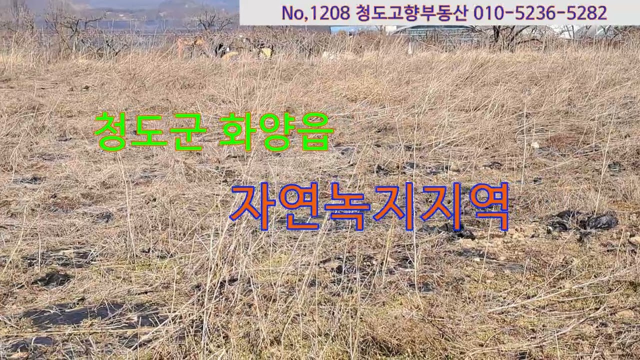 (1208)청도군 화양읍 자연녹지지역