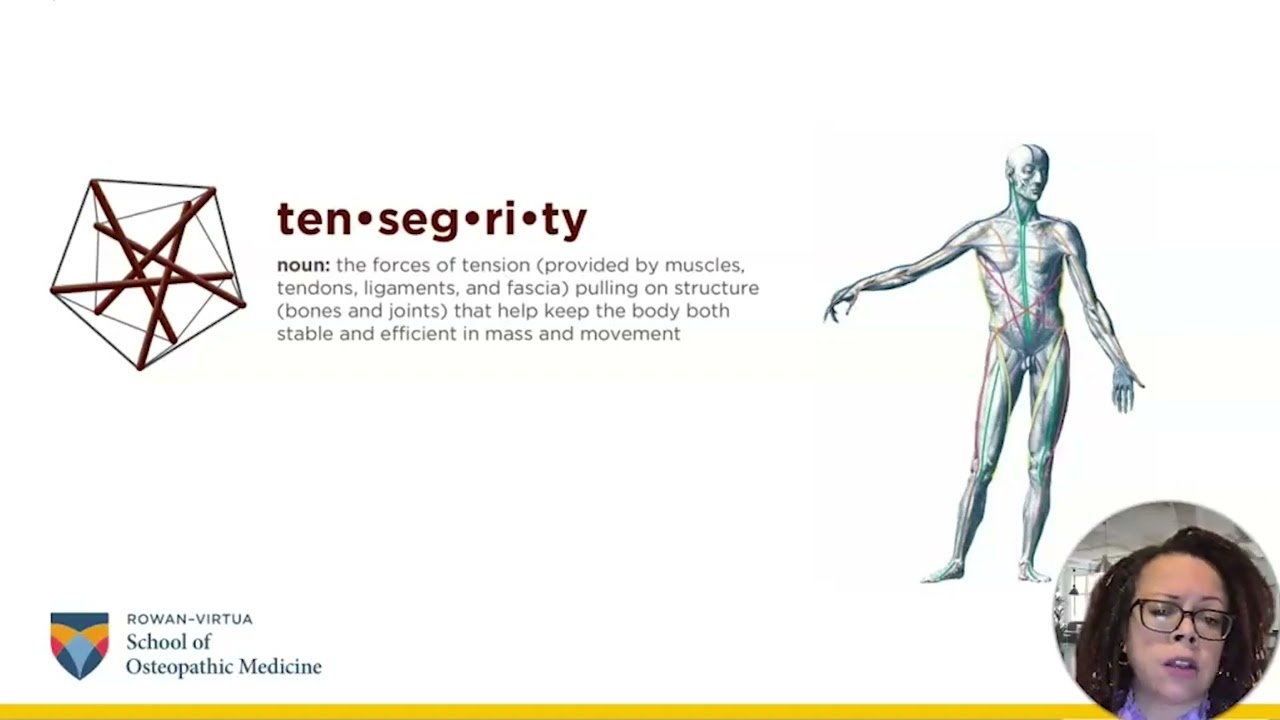 The Tensegrity Curriculum &ndash; Video abstract [442569]
