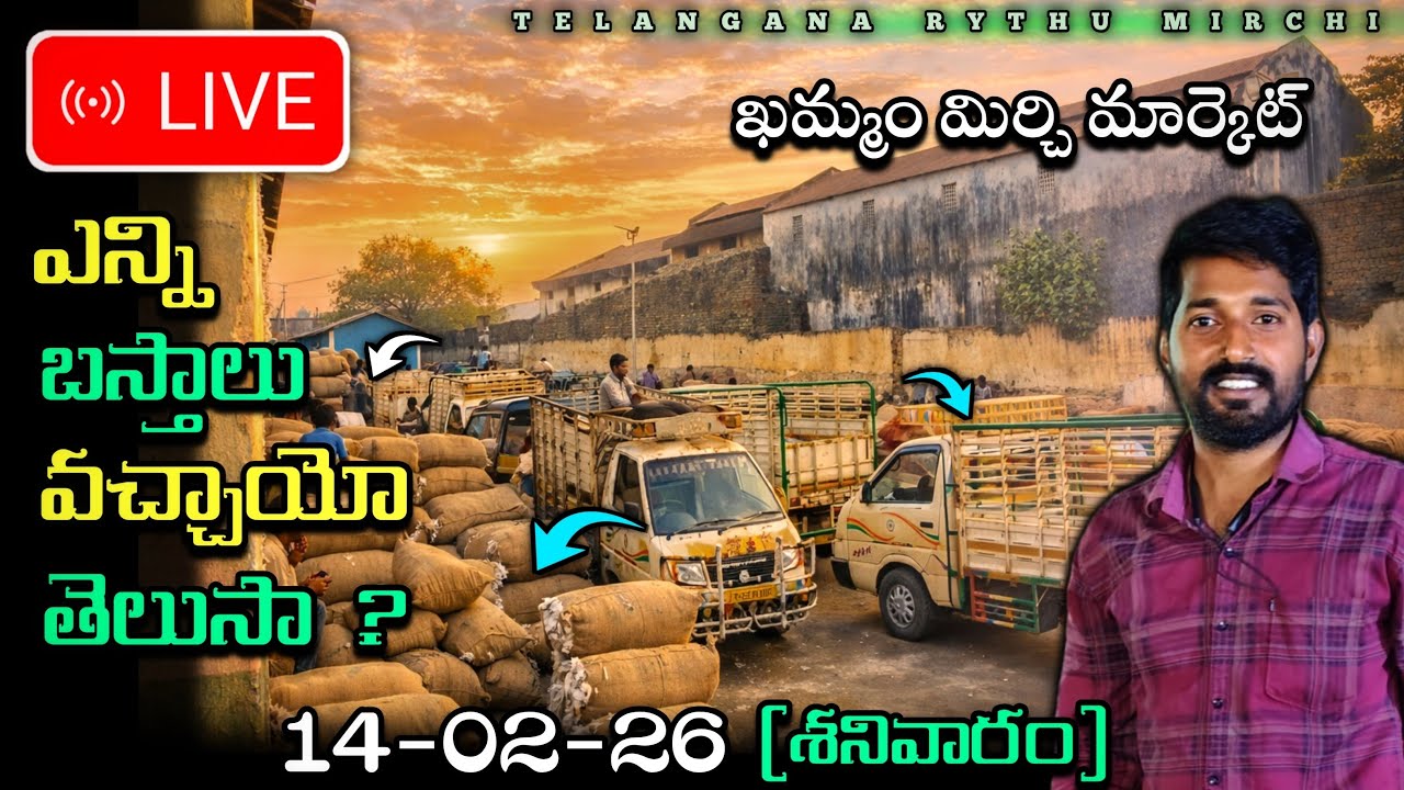 14/02/2026 KHAMMAM MIRCHI MARKET AND COTTON TELANGANA RYTHU is live