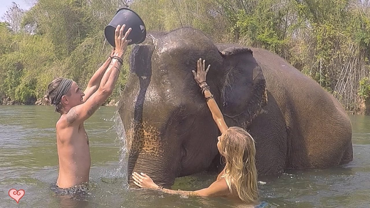 Be The Change You Want To See In The World ♥ Elephant Haven (Elephant Nature Park)