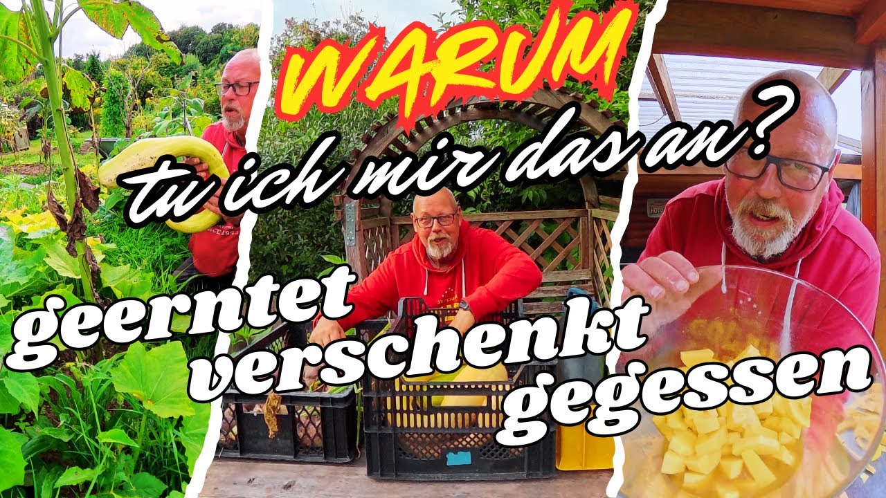Warum die ganze Arbeit, wenn wir kaum etwas verarbeiten? / diese Marinade bringt Pep ins Grillgemüse