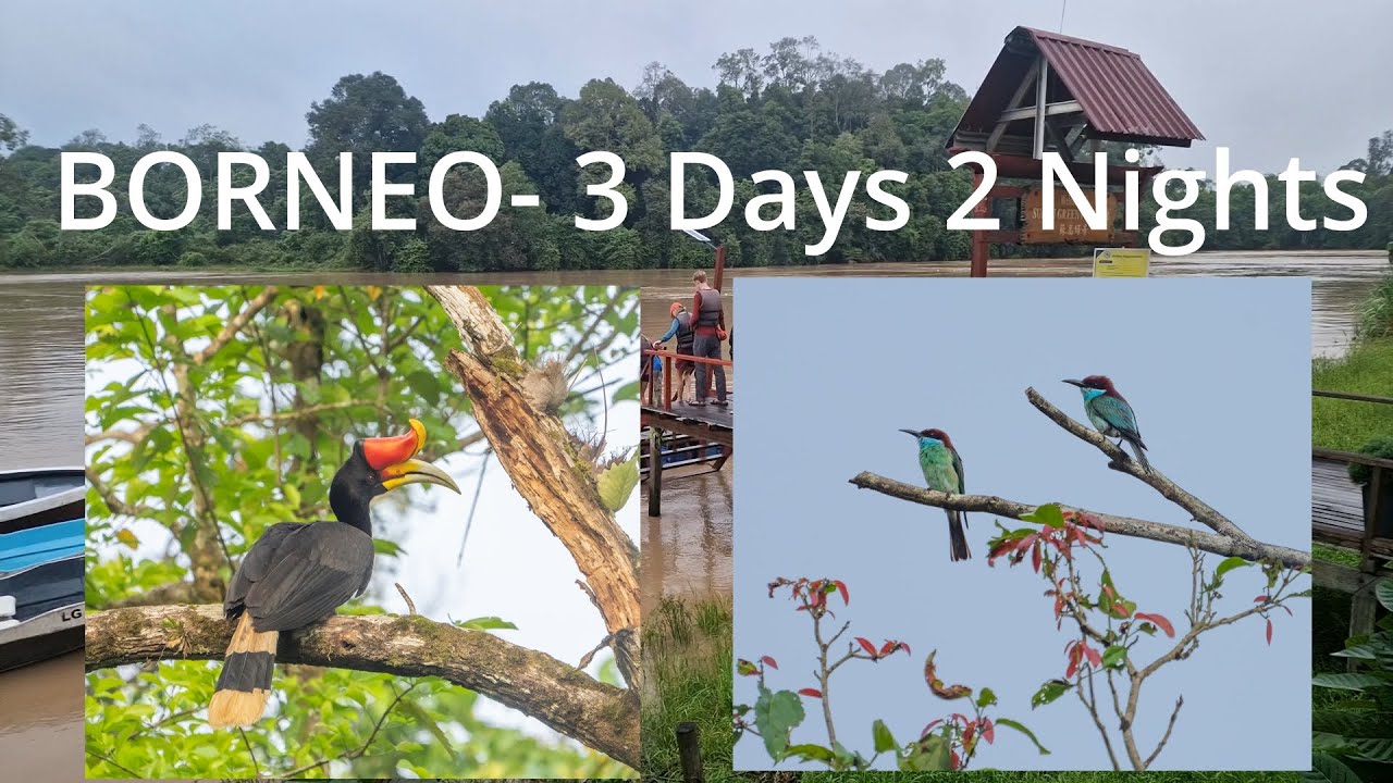 BORNEO- 3 Days-2 Nights