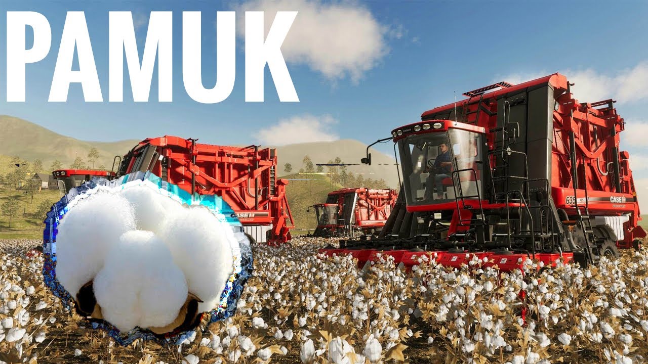 Pamuk Ekim, Hasat ve Satış / Farming simulatör 19
