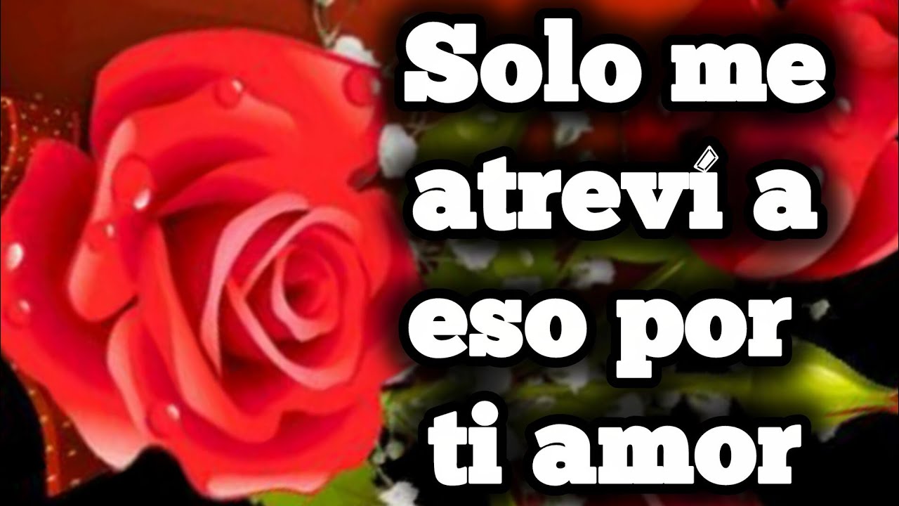 Solo me atreví a eso por ti amor