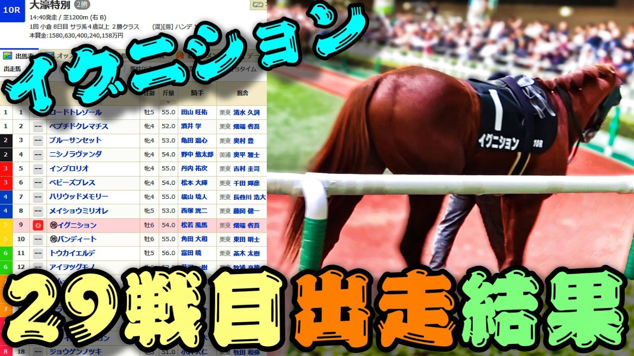 【一口馬主】イグニション、29戦目出走結果。-調教からコンタクトを取っていた鞍上とリズム良く運び上位争いの一角として健闘、近走の悪い流れを払拭できた手応えそのままに更に上昇を-【ノルマンディーOC】
