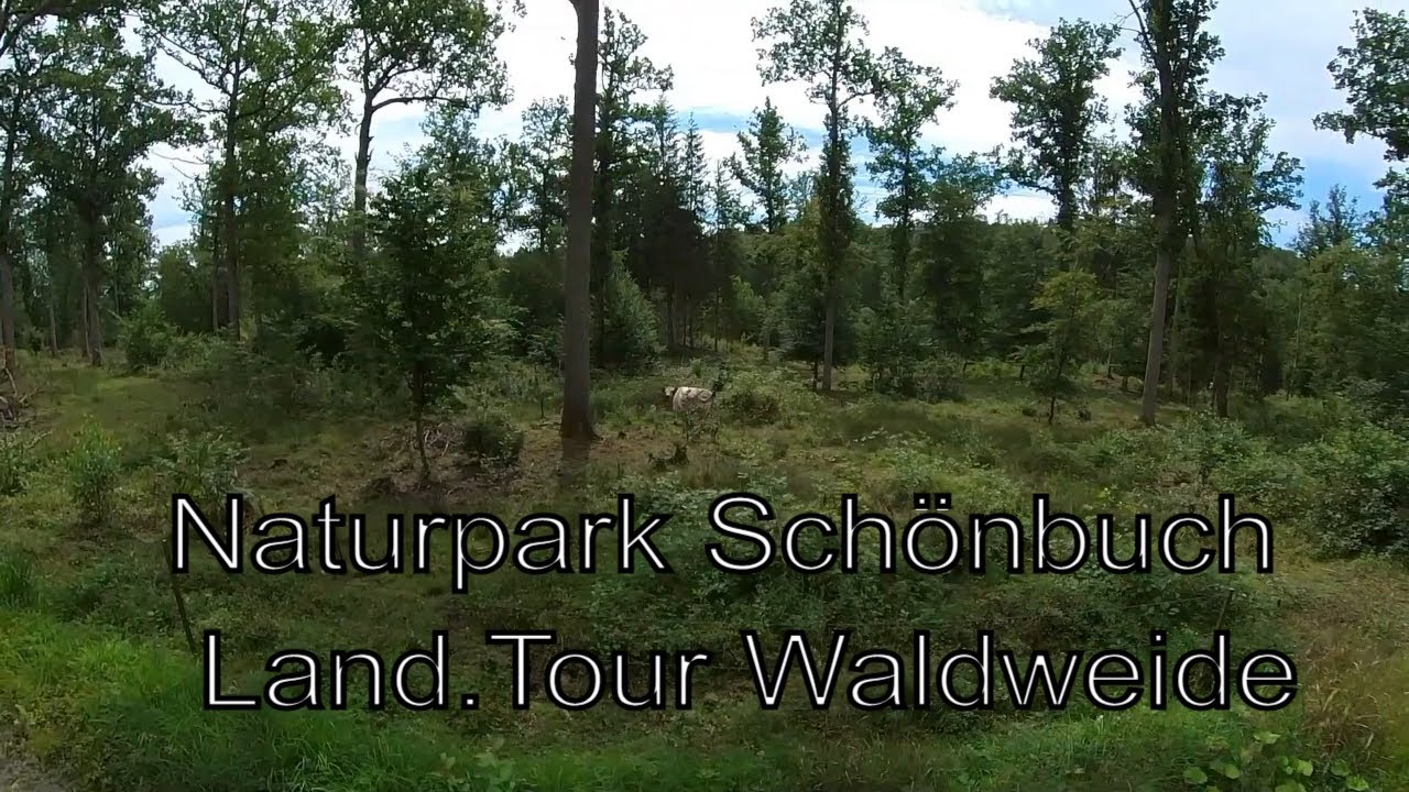 Naturpark Schönbuch Land.Tour Waldweide