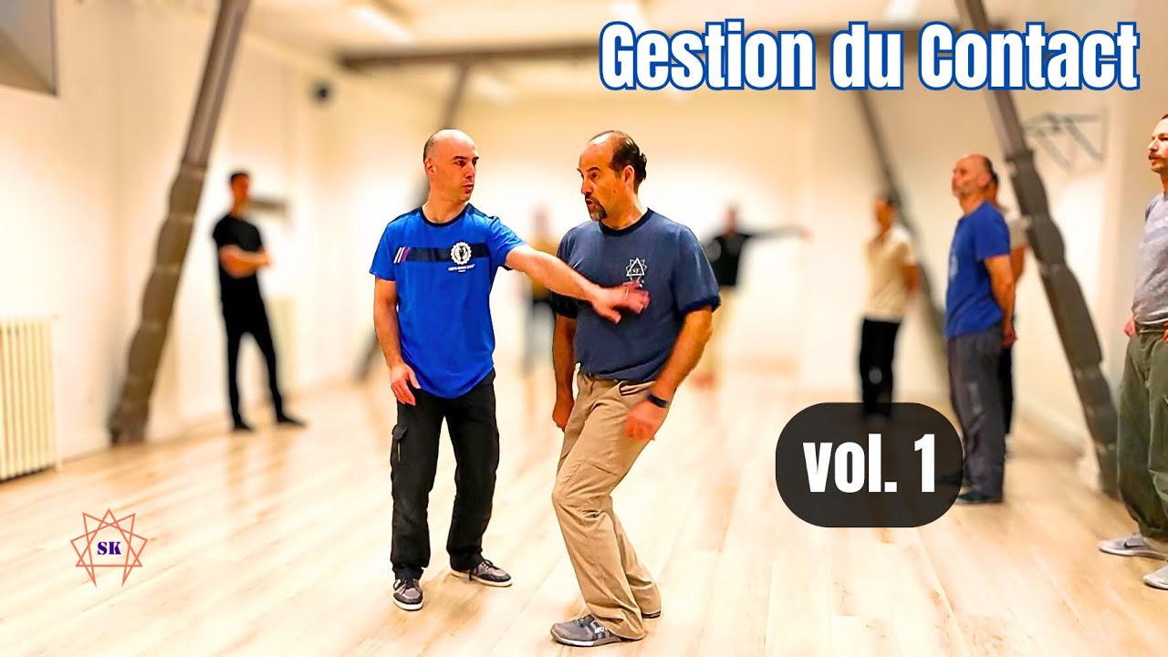 Systema : Maîtriser la Stabilité — Gestion du Contact Vol.1