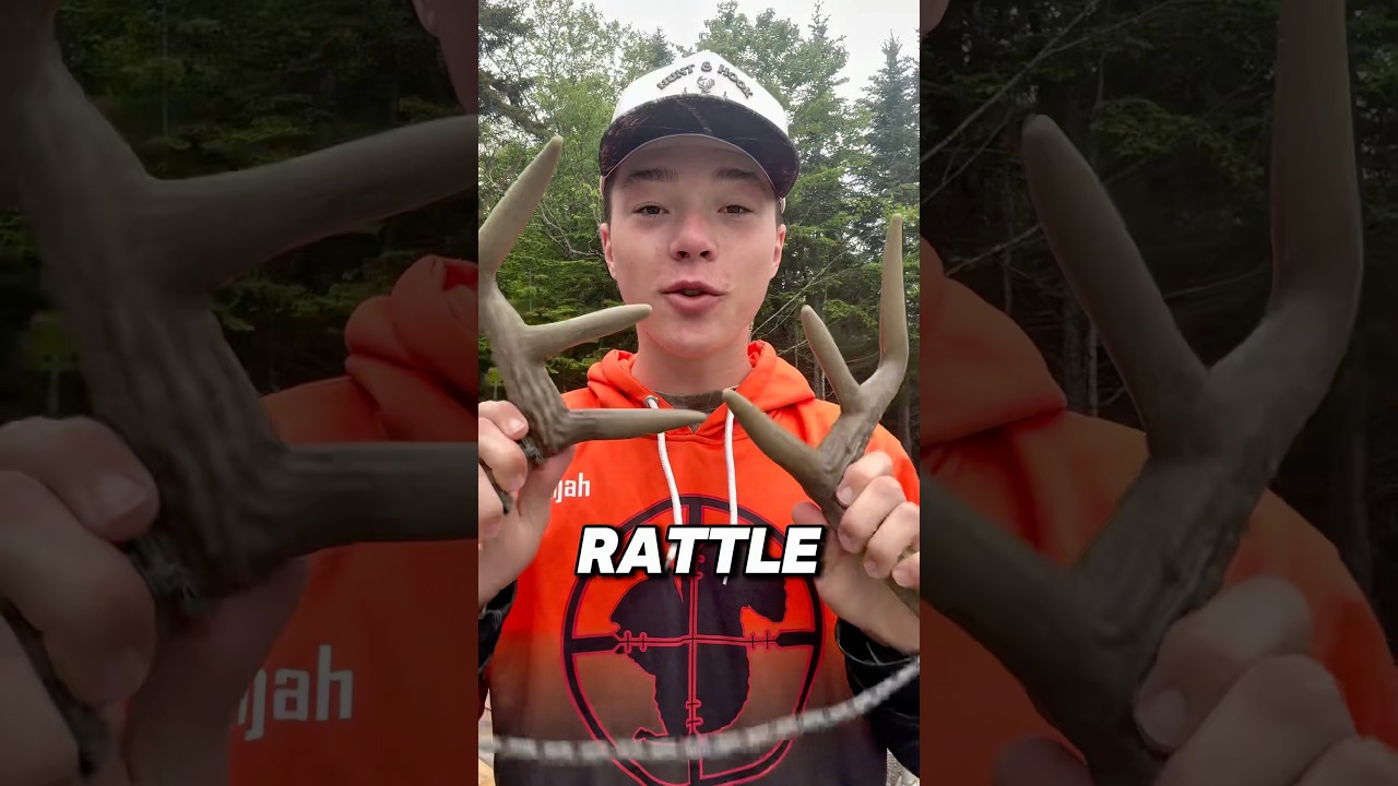 How To Rattle With Deer Antlers! 🦌 