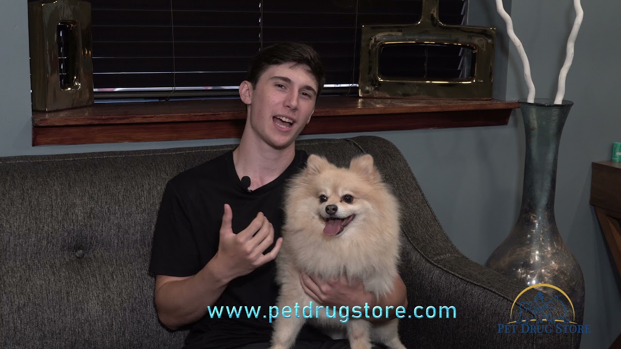 Pet Drug Store
