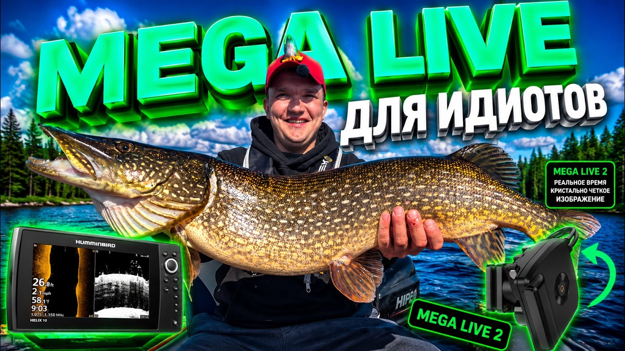 MEGA LIVE 2. ЮБИЛЕЙНЫЙ 100 ВЫПУСК! РЫБИНКА.
