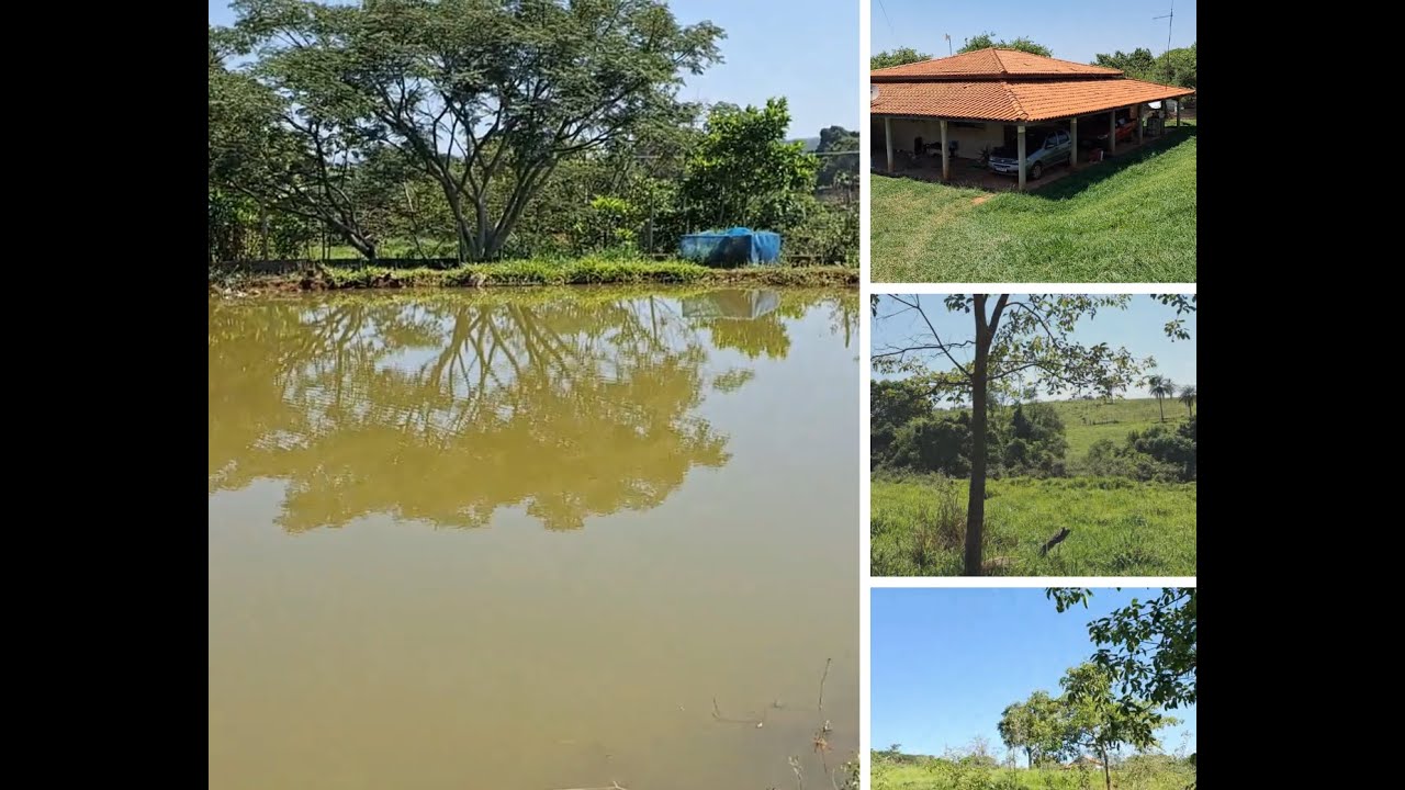 Lindo sitio entre Cajuru e Santa Rosa de Viterbo SP