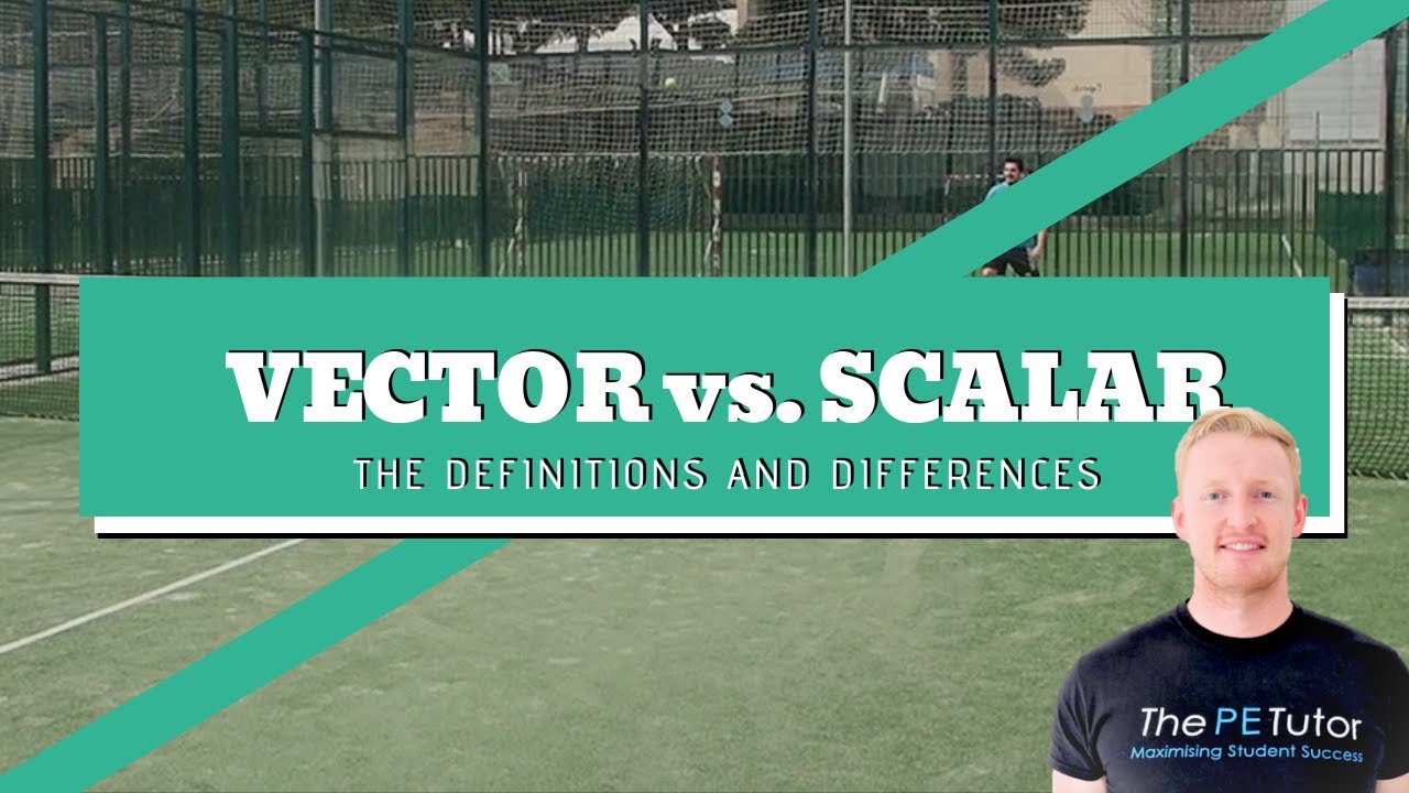 The Difference Between Vector and Scalar