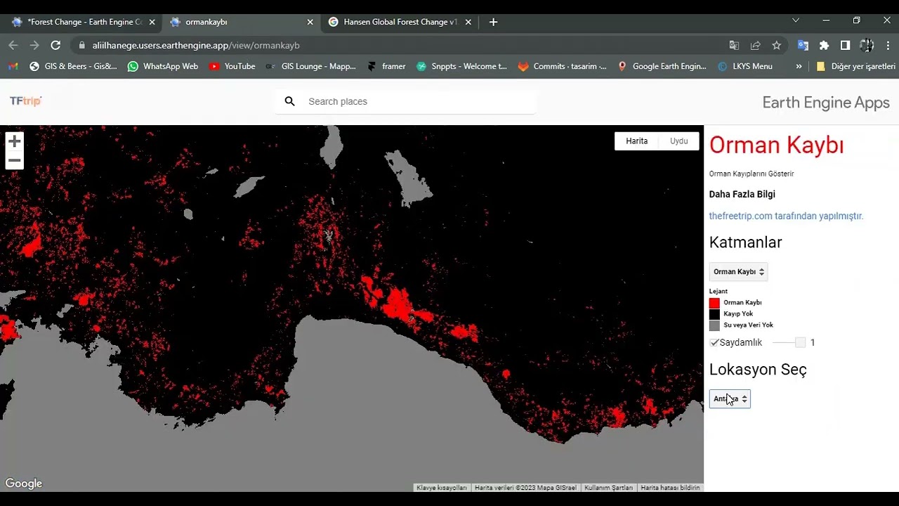 Google Earth Engine İle Orman Kaybı Uygulaması