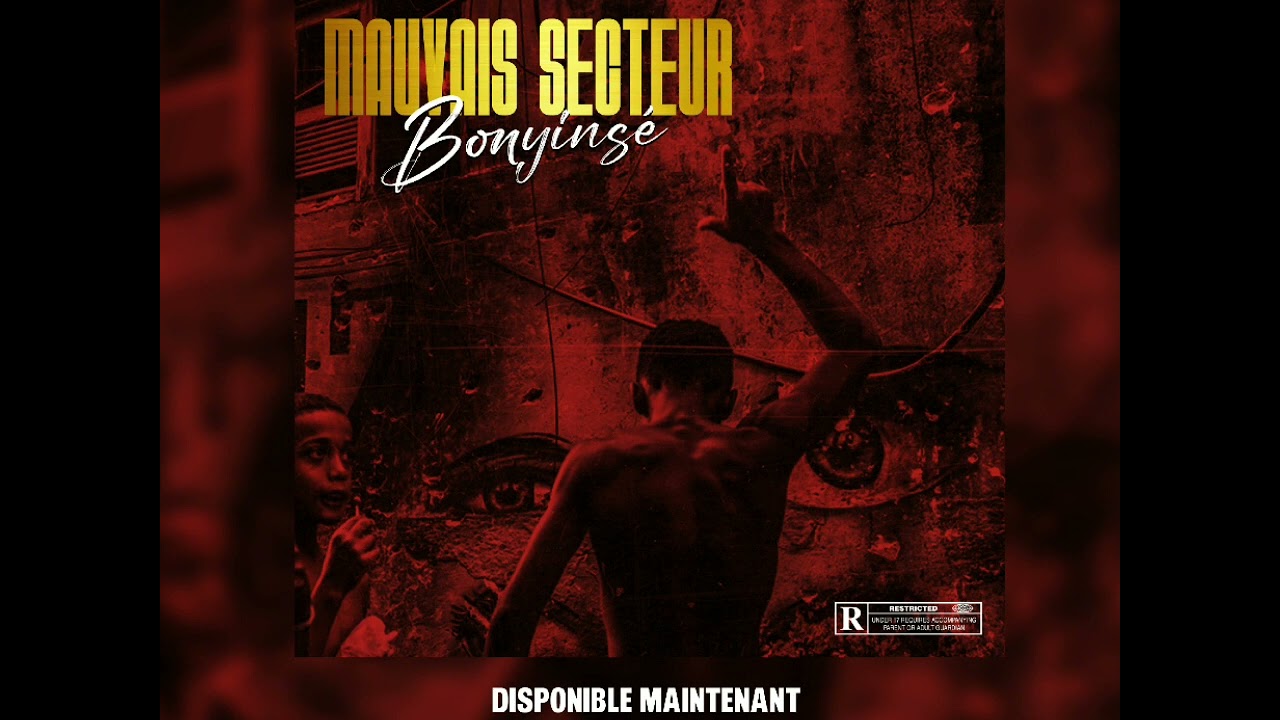 Bonyins&eacute;-Mauvais Secteur (Son Officiel)