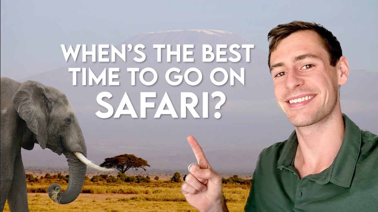 When's the Best Time to Go on Safari? (East Africa)
