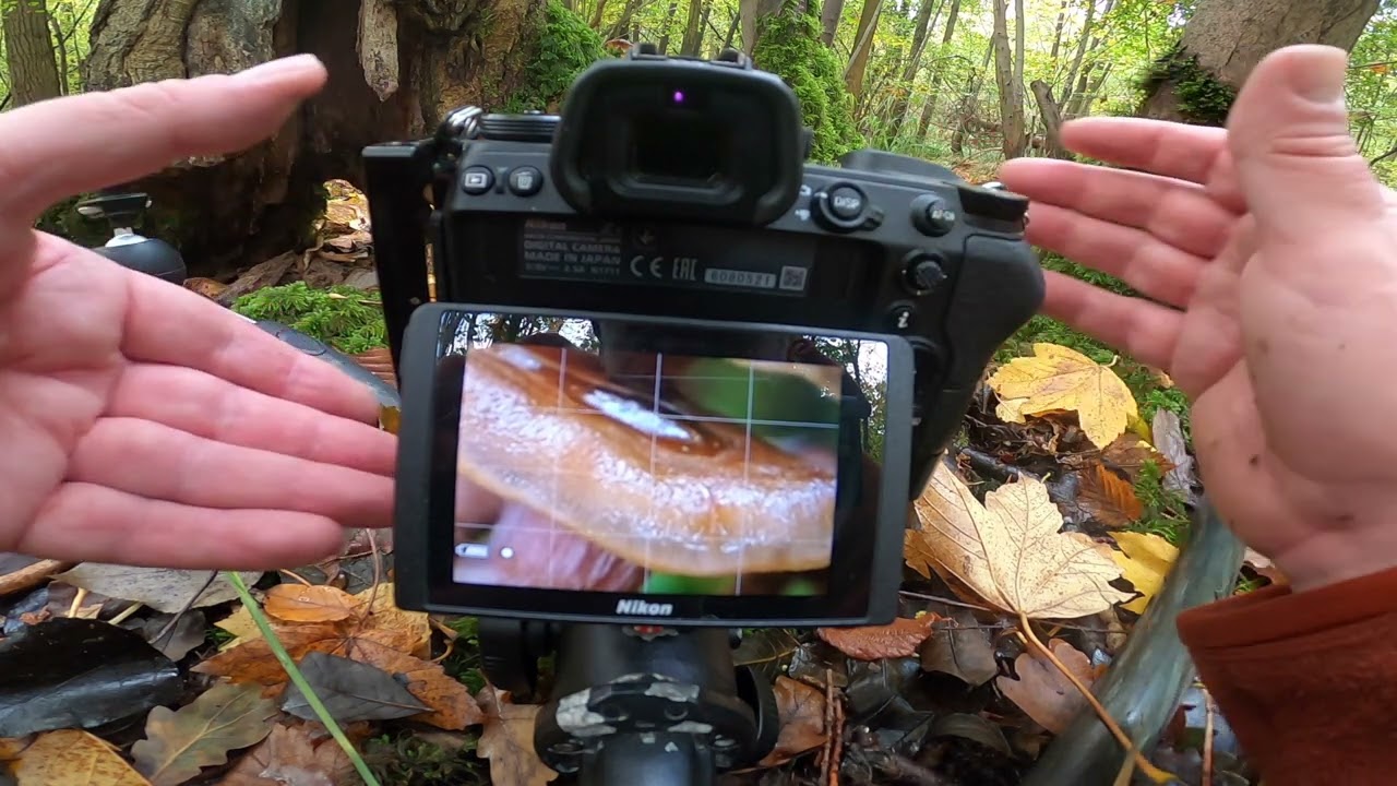 Fungi Photography - Multiple images, layering and stacking - Tutorial