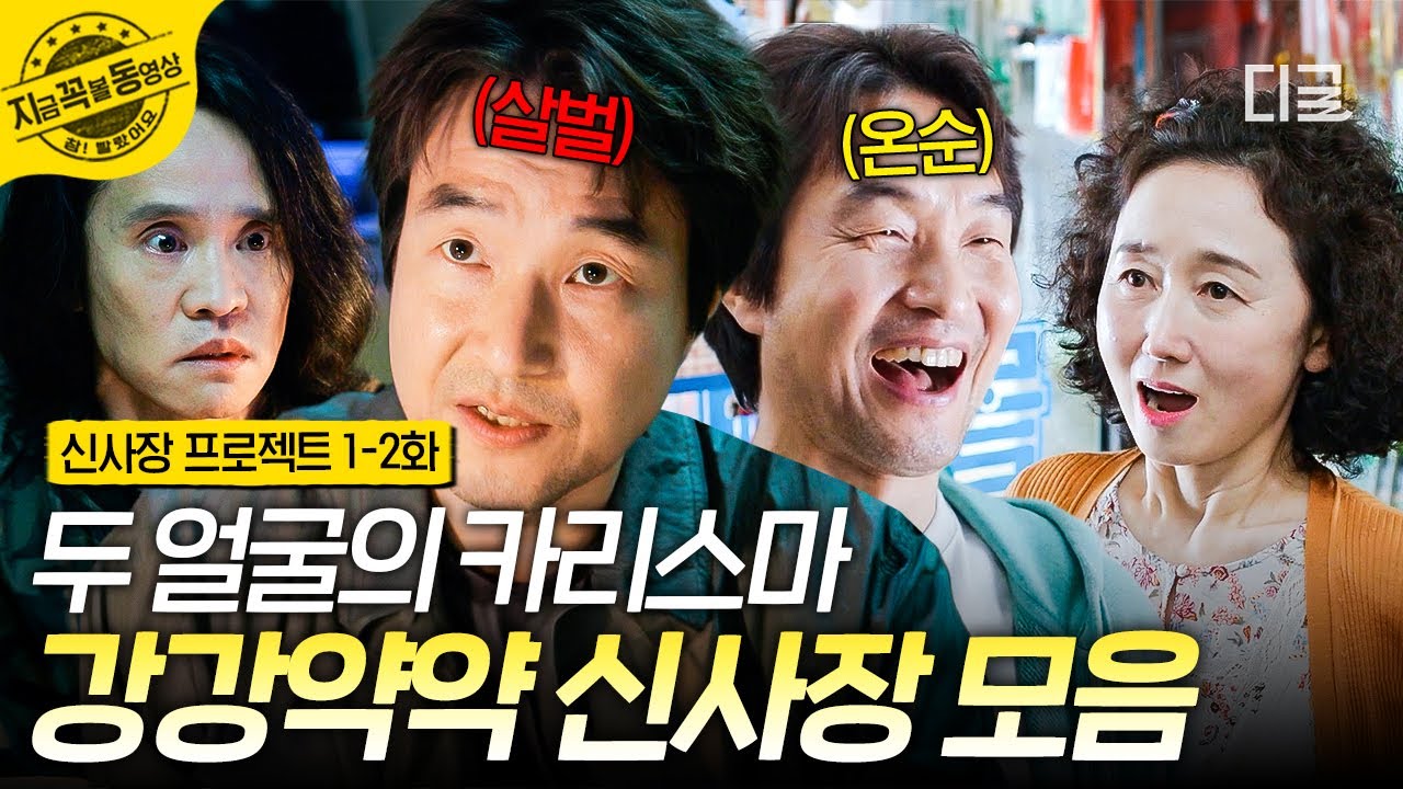 [#신사장프로젝트] 도대체 신사장은 정체가 뭐야...❓ 때로는 온유하게, 때로는 살벌하게 문제 해결하는 신사장 모음🌟