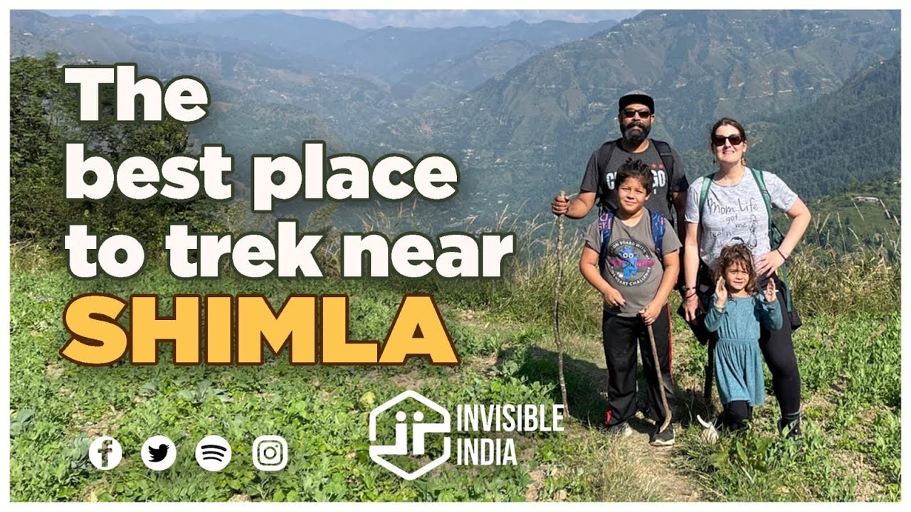The Best Places to Trek Near Shimla | Mashobra VLOG | India with Jessica and Kids
