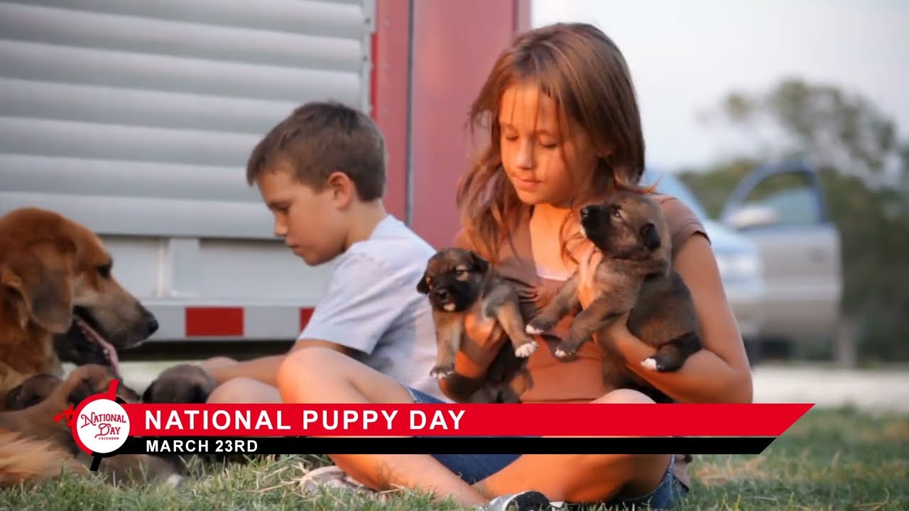 National Puppy Day on March 23
