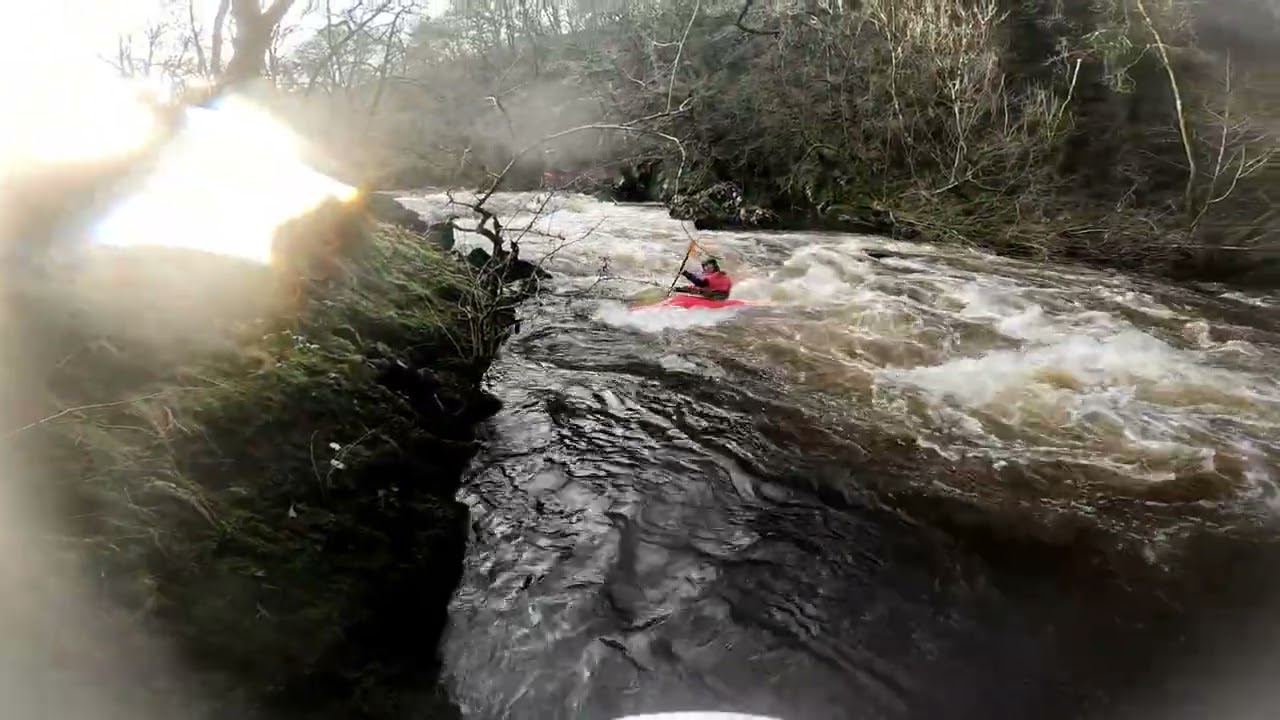 River vyrnwy trip  20.12.25  