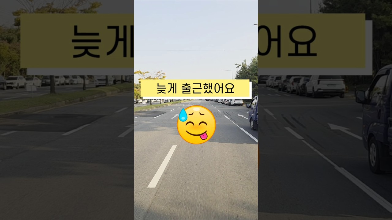 늦게 출근했어요 콜바라기의 장점^^;