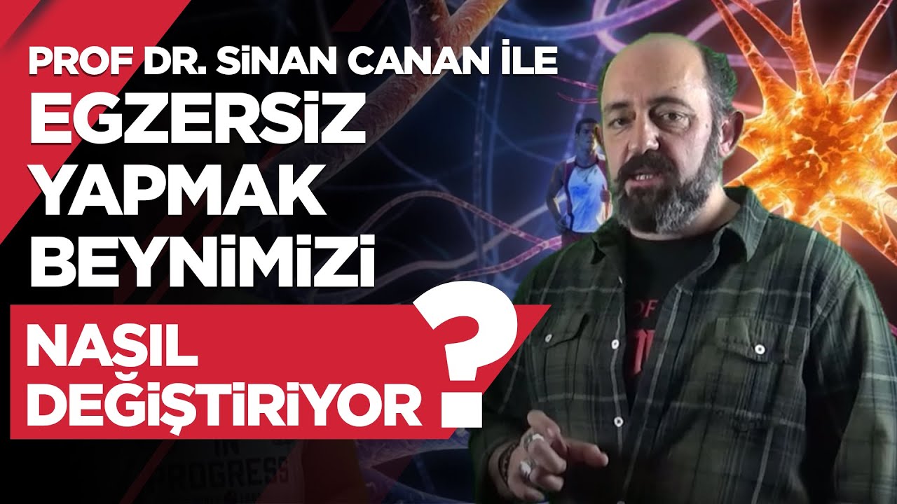 Egzersiz Yapmak Beynimizi Nasıl Değiştiriyor?