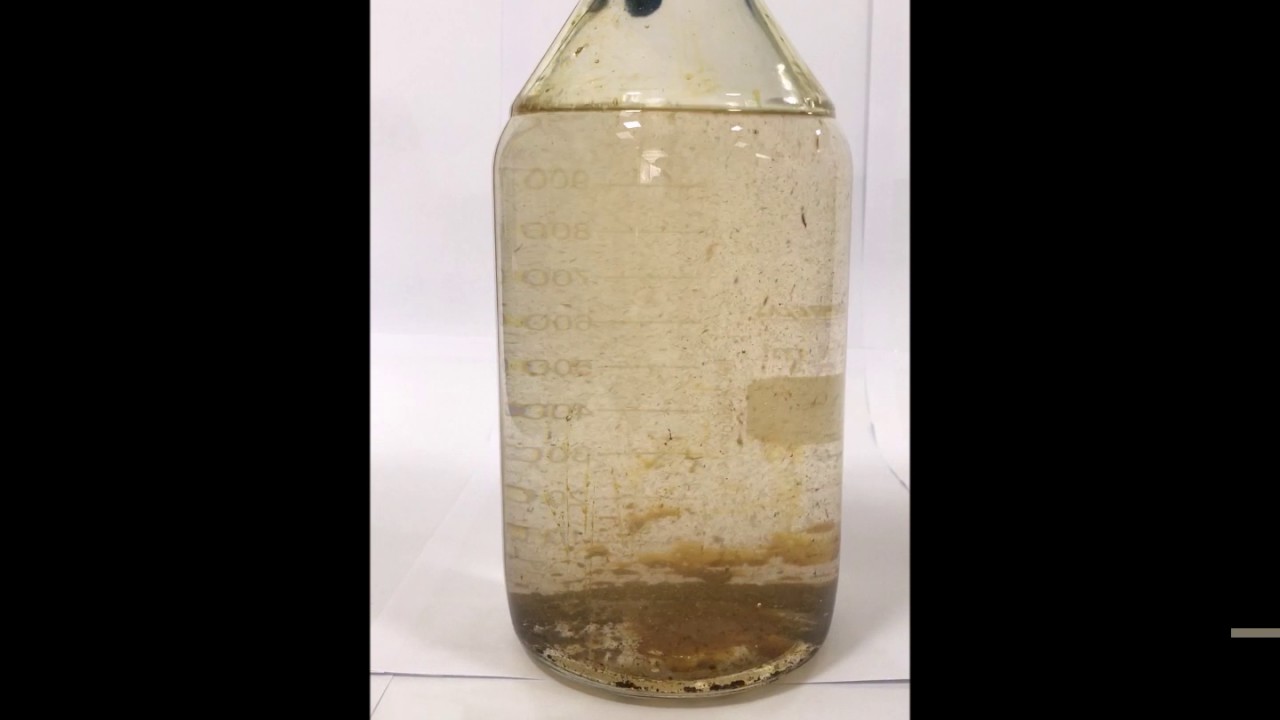 DNAPL Extraction - Water vs. BioRem Nano ES