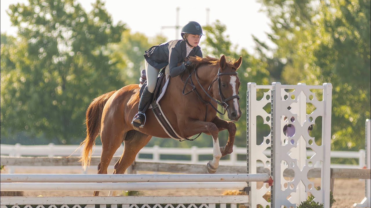 Amaris Meyer & Heavens Here - 2’9 Modified Child/Adult Hunters