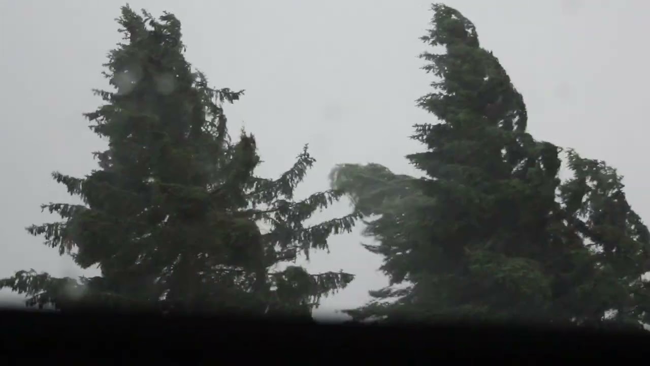 Sonntagsstimmung: Sommergewitter im Harz