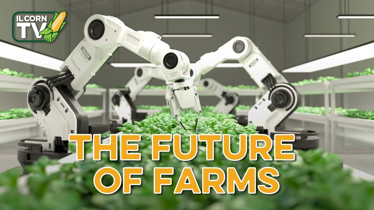 Future of Farming, Helping Zambian Farmers & Become ICGA Member | IL Corn TV #43