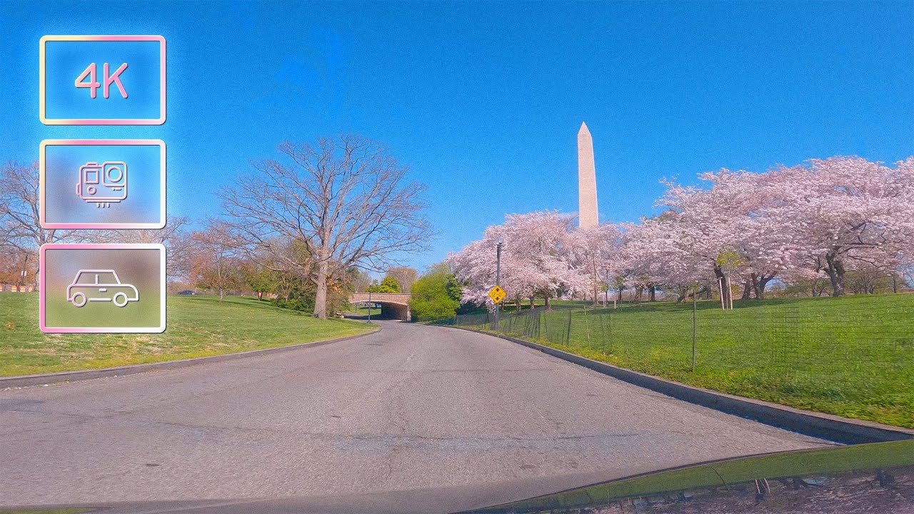 Drive from Bethesda to the D.C. National Mall Cherry Blossoms