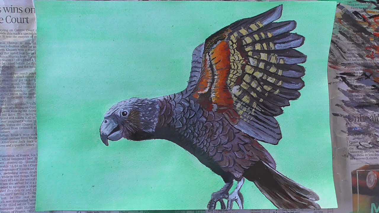 Kākā Painting - Timelapse