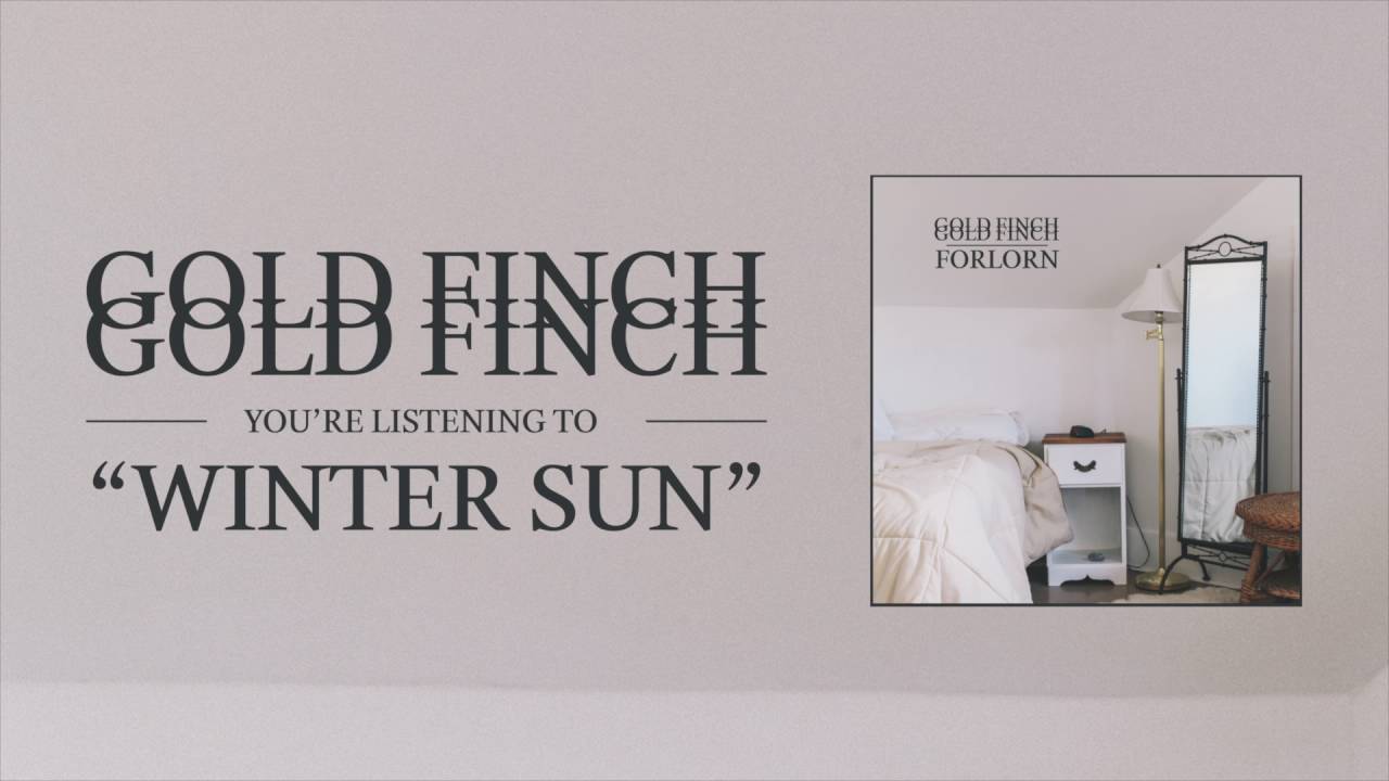 Gold Finch - Winter Sun [Audio]