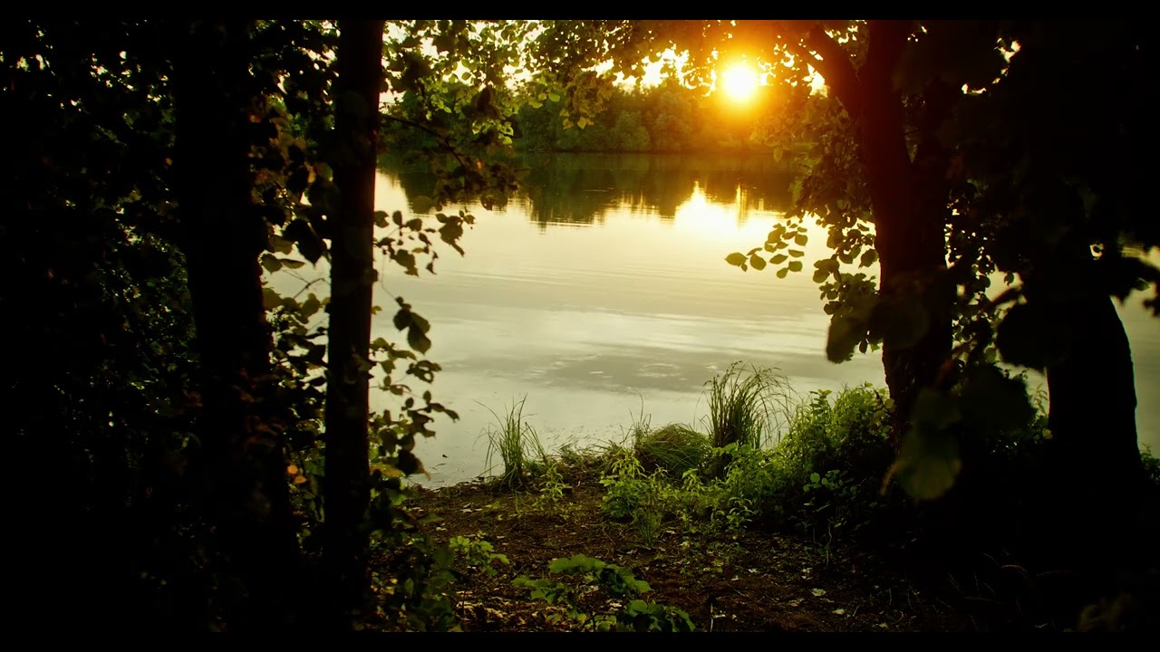 Hegbachsee Nauheim - Gross-Gerau Sonnenuntergang am Sonntag den 22.06.2025