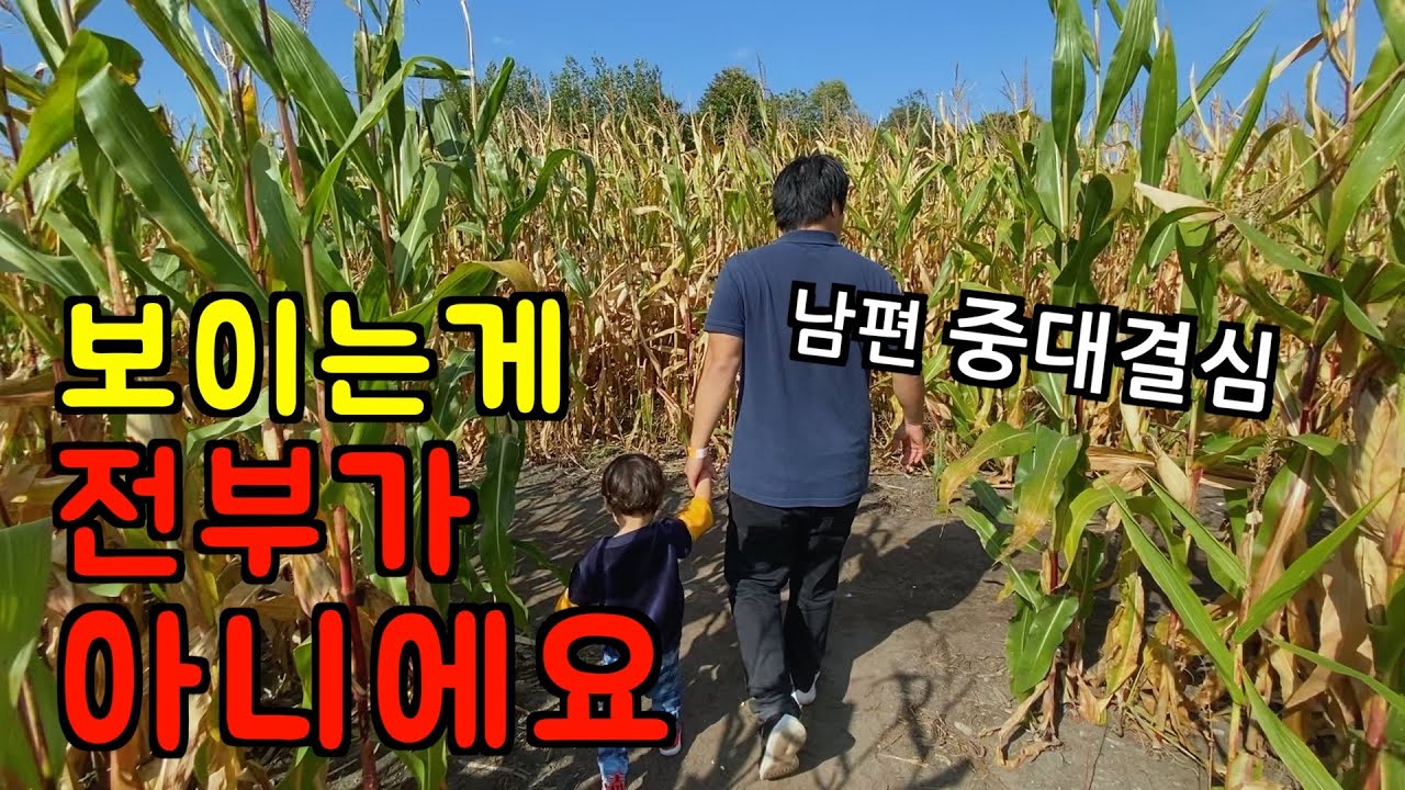 미국 일상 🇺🇸 남편의 중대 결심 ‼️ 보이는게 다가 아니에요 l 불고기 김밥, 부대찌개, 돈까스 l 미국 시골판 놀이공원 l 미국 브이로그