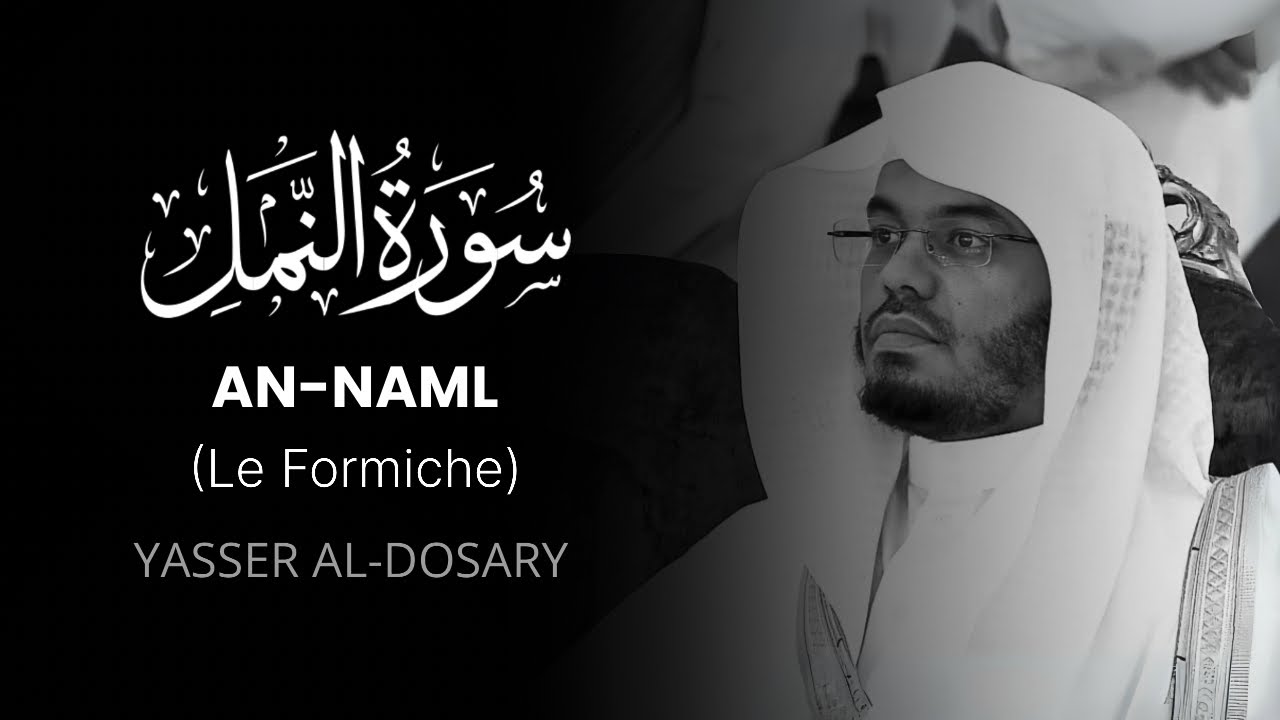 AN-NAML (Le Formiche) – سورة النمل | Yasser Al-Dosari | Traduzione Italiana