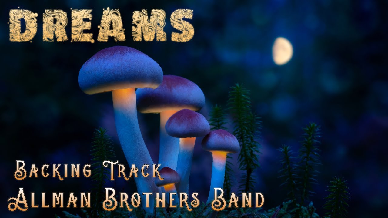 Dreams » Backing Track » Allman Brothers Band