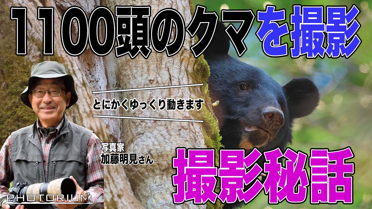 PHOTORIUM　♯086【ツキノワグマを日本一知るカメラマン】知られざるクマの生態とは/#PHOTORIUM /#ツキノワグマ/#秋田/#