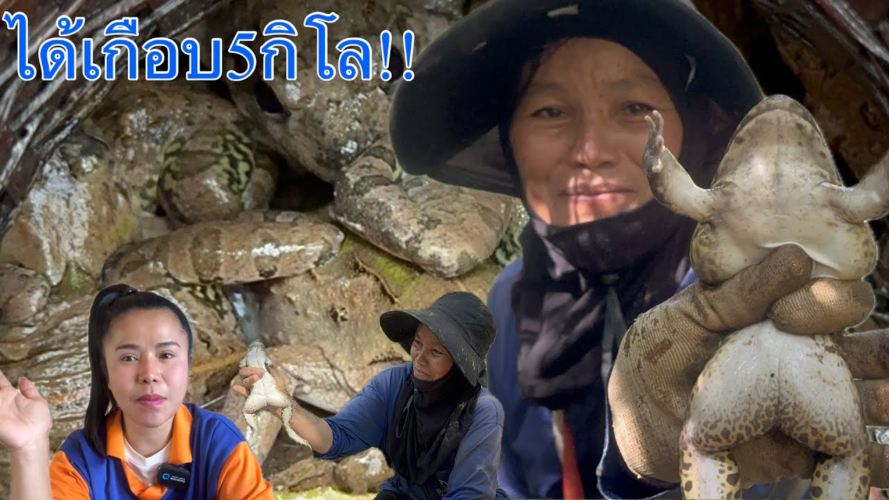 Ep1ถึงเวลาหาอยู่หากินแล้ว ไม่คิดว่าจะได้เยอะขนาดนี้ แต่ละคนหมานมาก มากับแก๊งค์นี้ไม่มีผิดหวัง#kppsc 