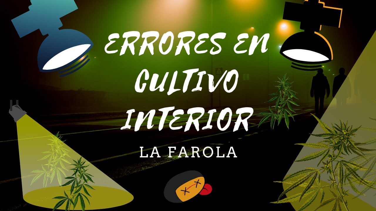 Errores en cultivo interior LA FAROLA